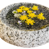 Natural Stone Dish