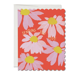 'Sending You Love' Scalloped Coneflower Card