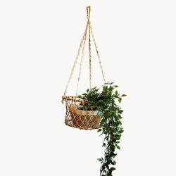 Jhuri Single Hanging Basket (w/o plant)